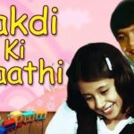 लकड़ी की काठी